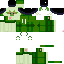 Texture for sprigatito