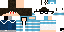 Texture for SwiftGaurdian