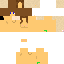 Texture for pp17