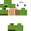 Texture for Rotrix Turtle