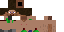 Texture for steve-adan