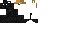 Texture for Raven