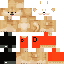 Texture for classs-d doge