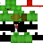 Texture for Christmas Turtle