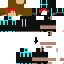 Texture for Test 