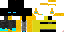 Texture for enderstyle