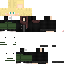 Texture for skibidi