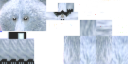 Texture for Polar Bear