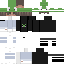 Texture for New Dreezy with Frog hat