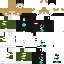 Texture for pou