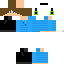Texture for Reft61