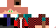 Texture for logan standard