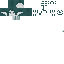 Texture for head