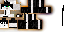 Texture for rex