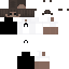 Texture for tvssx