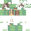 Texture for turtle de mujer