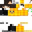 Texture for Sii