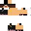 Texture for steve