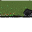Texture for leeh