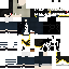 Texture for astinha