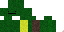 Texture for Turtle