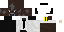 Texture for Pilot Joey