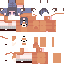 Texture for fox gil 2