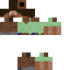 Texture for Steve in Alex's color scheme