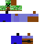 Texture for STEVE 