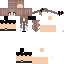 Texture for steve