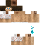 Texture for iTz_lionv2