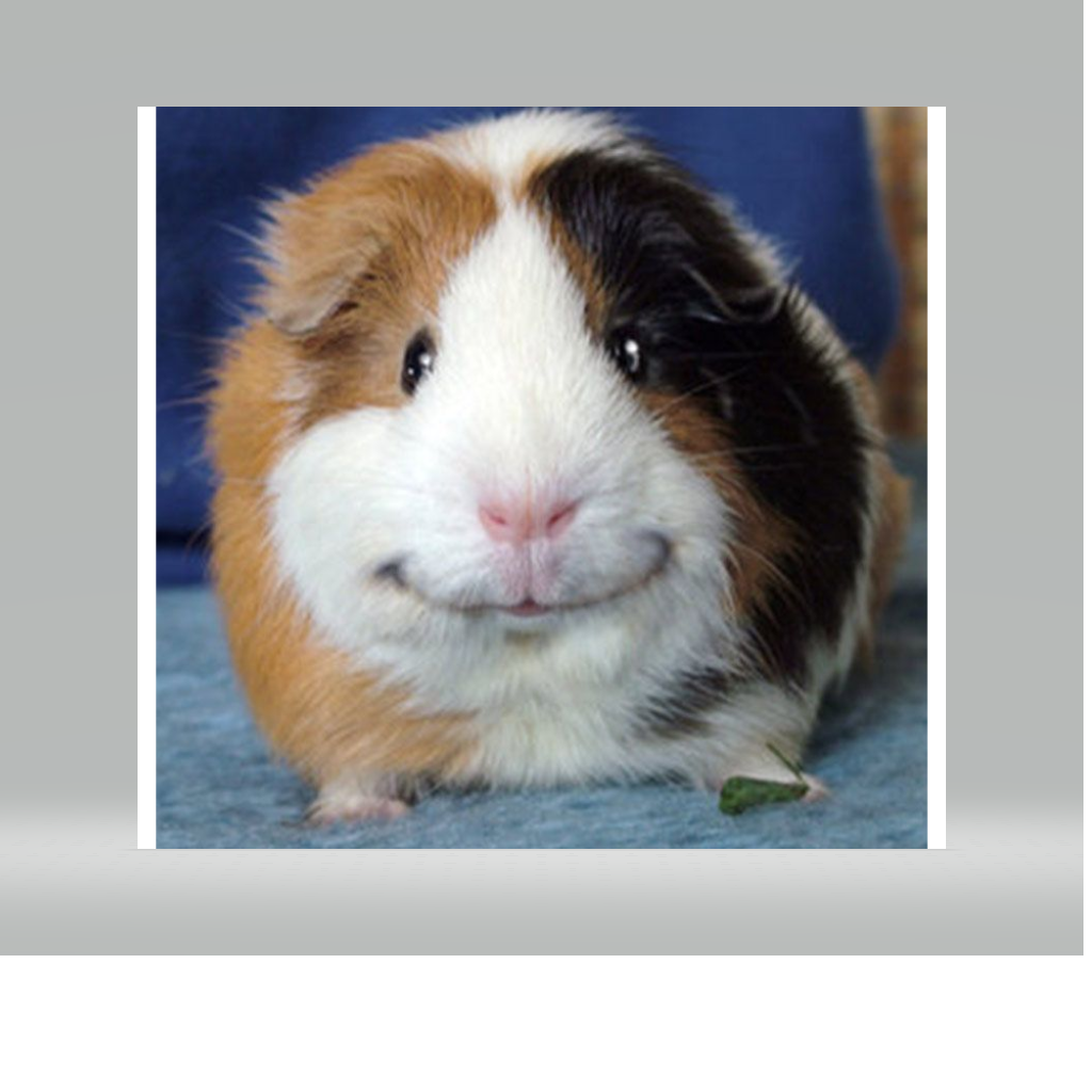 Texture for Guinea Block