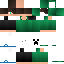 Texture for nicolas2020
