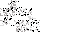 Texture for monster lost