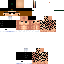 Texture for luiscraft11