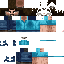Texture for Steve