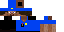 Texture for steve police