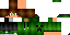 Texture for SenhorGames