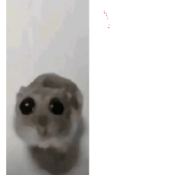 Texture for idk