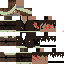 Texture for HH2