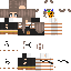 Texture for k V2