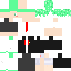 Texture for ライム１