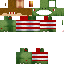 Texture for SkipV2
