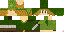 Texture for link-mio