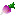 Texture for Turnip