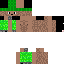 Texture for strong turtle 