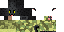 Texture for Army