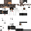 Texture for gt
