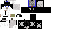 Texture for sam