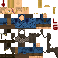 Texture for Viking